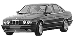 BMW E34 P20F1 Fault Code